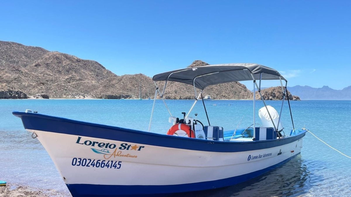 Fishing and Blue Whale Season in Loreto, Baja California Sur: The Boat We Recommend