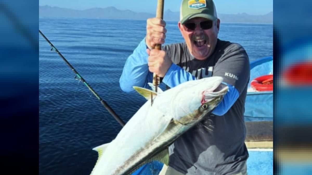 Angler lifting a winter yellowtail aboard Loreto Star, Loreto Bay National Marine Park